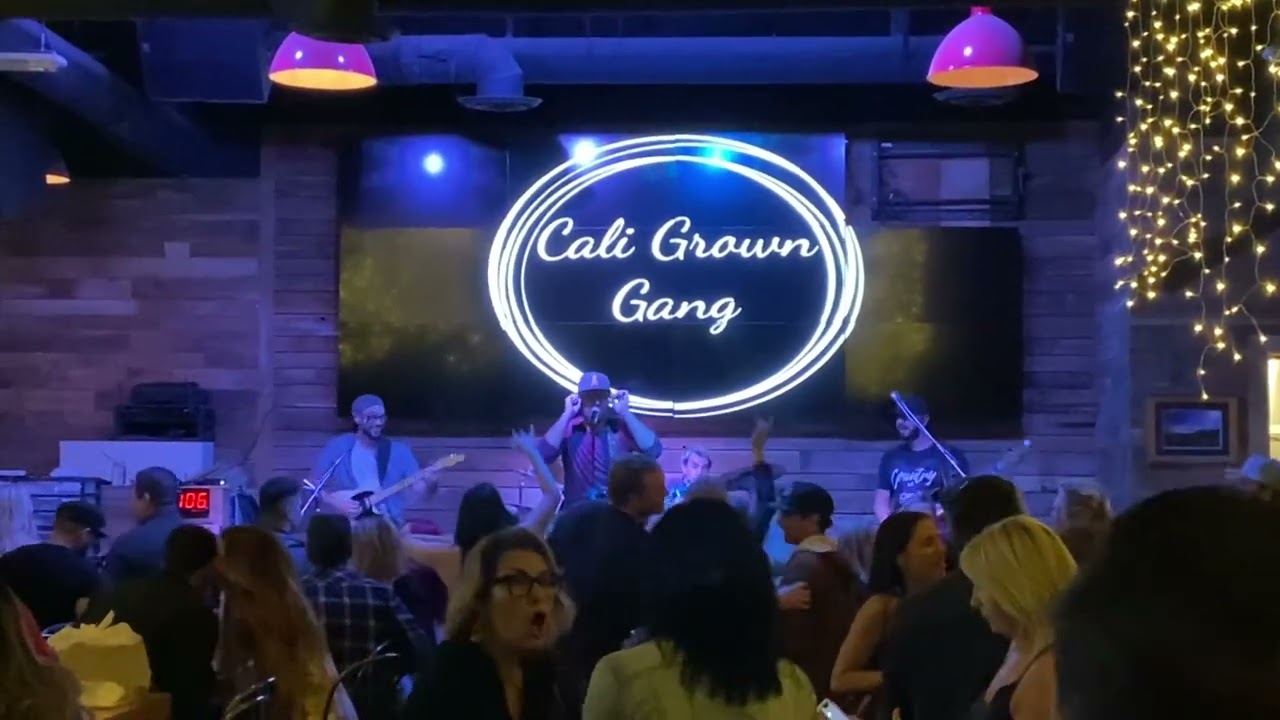 Promotional video thumbnail 2 for Zachary Michael Band