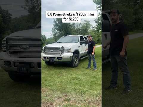 I bought a 6.0 Powerstroke with 236k miles for $1200 #powerstroke #headgasket #fordperformance