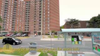 preview picture of video 'Toronto Apartments for Rent Video - 75 Eastdale Ave'