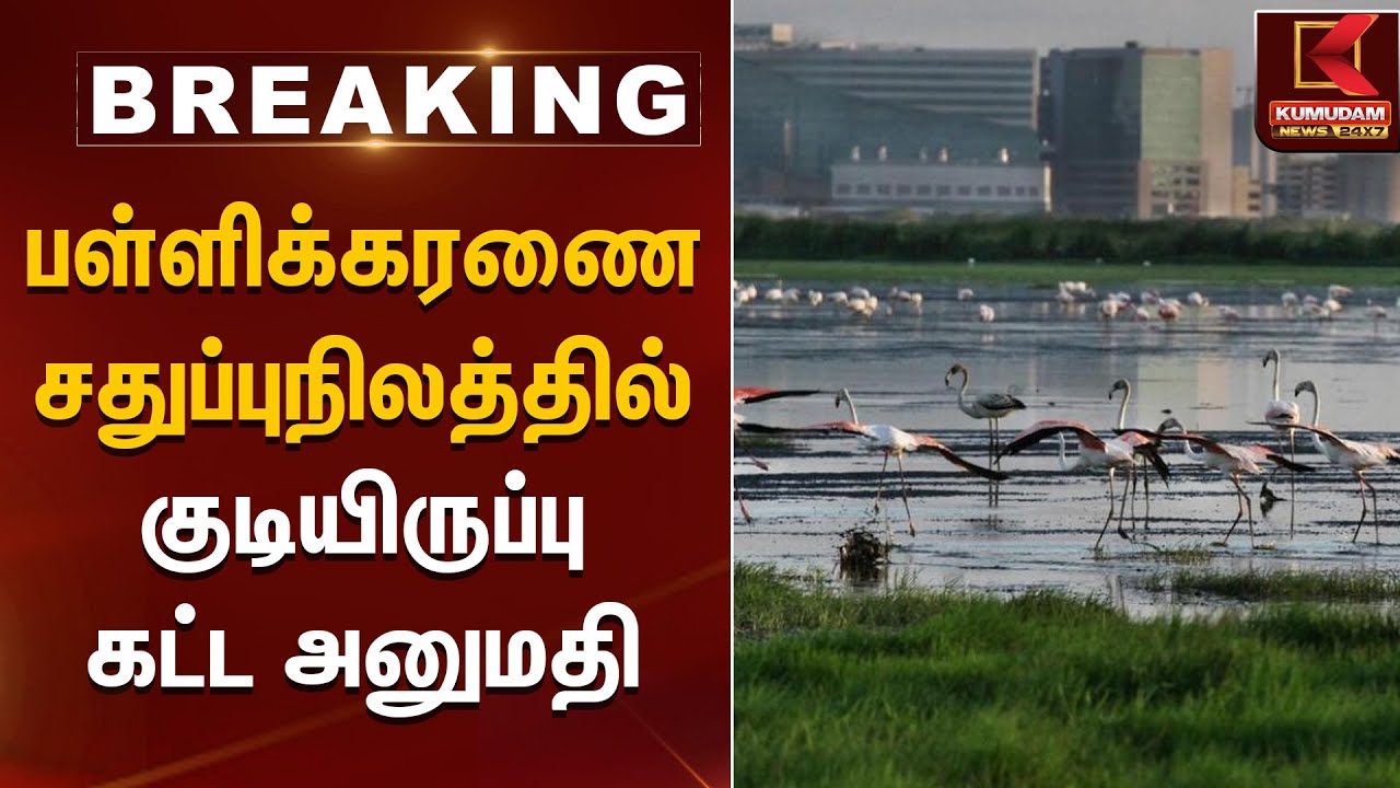 பள்ளிக்கரணை சதுப்புநிலத்தில் குடியிருப்பு கட்ட அனுமதி | Kumudam News