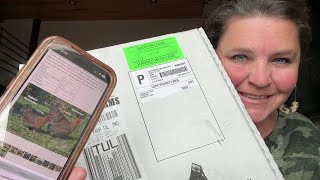 UNBOXING Greenfire Farms Hatching Eggs! More Chicken Chat With Chrissy & Ultimate Coop Reveal TALK
