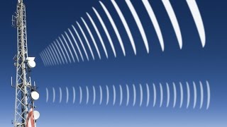 You Won&#39;t Believe How EMFs Affect Your Body!