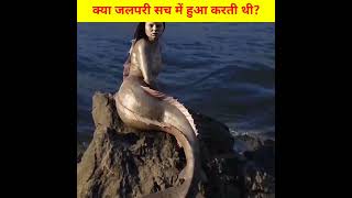 Download lagu Jalpari Facts Shorts | Real Jalpari Facts | Zubair Facts | #shorts mp3 Download lagu Jalpari Facts Shorts | Real Jalpari Facts | Zubair Facts | #shorts mp3