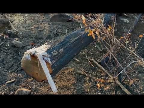 NY Jennings Creek Fire Latest