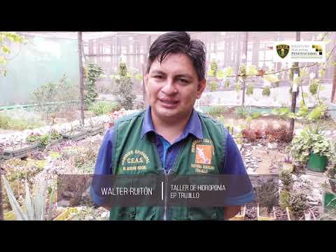 , video de YouTube