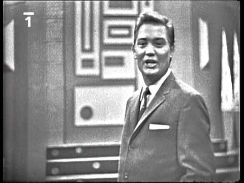 Milan Chladil  -  Volání divokých husí