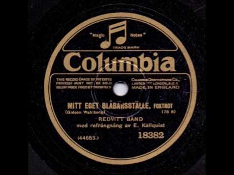 REDVITT BAND - MITT EGET BLÅBÄRSTÄLLE