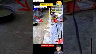 Yea Allah ☝️😍 Respect 😍 #allah #shorts #status #respect