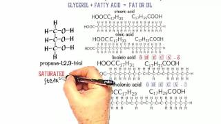 Esters 3. Structure of Fats and Oils.
