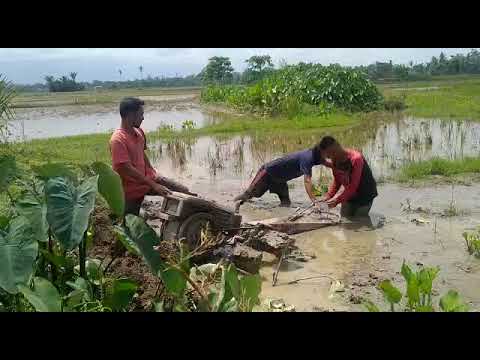 Traktor sawah jatuh ke dalam lumpur parah