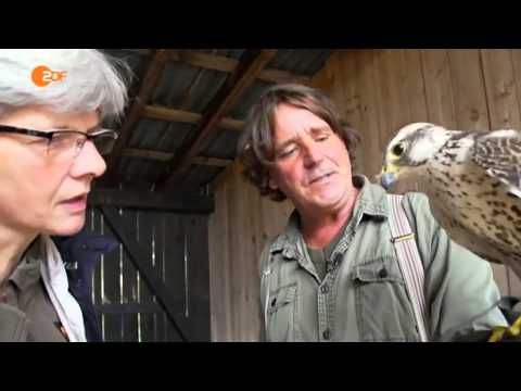 planet e Der Adlerflüsterer