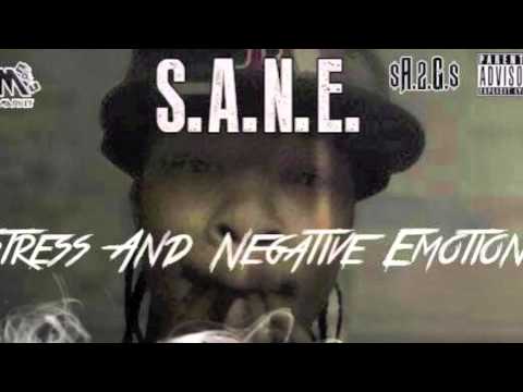 Duffle Bag Dutt - Hard Knock Life (Remix)