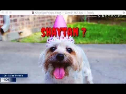 Allah said dogs are made from The Spit Of Shaytan - #ChristianPrince Jun 22.19