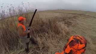 preview picture of video 'Olton Pheasant Hunt 2014 (Texas Panhandle)'