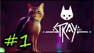 【Stray】＃１ ネコになりました　R4  8/23【生放送】