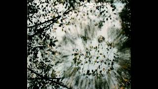 Phonosynthese - Glitzerblume