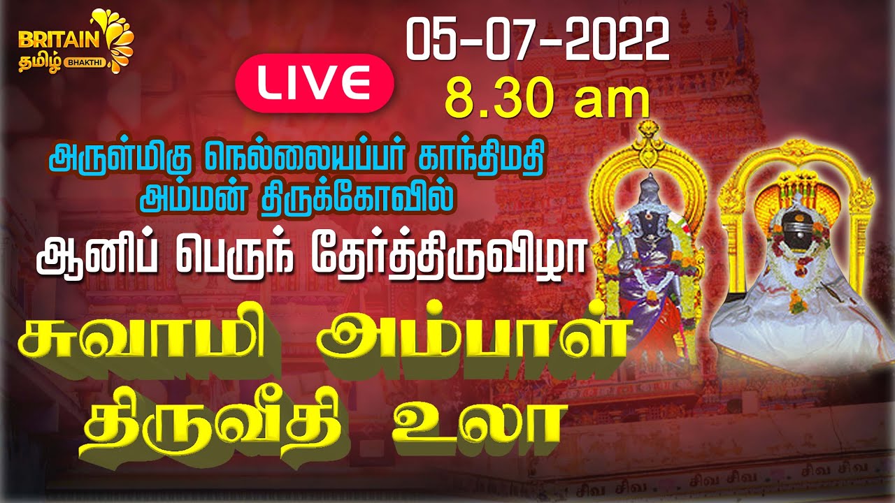 live-thirunelveli-நலலயபபர-கநதமத-அமமன-தரககவல-சவம-அமபள-தரவத-உல-050722-5962