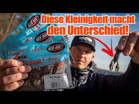 Fishing with the NED RIG - THIS is how you catch big bass in winter!