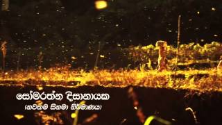 preview picture of video 'embilipitiya new town sinama'