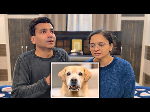 Life Without Leo💔