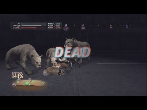 Tokyo Jungle: Survival Mode - Pomeranian Attempt 1 - Part 2
