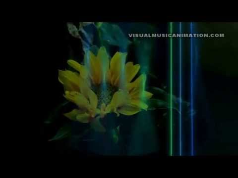 Oliver Shanti - "Journey to Shambala" #VisualMusicAnimation