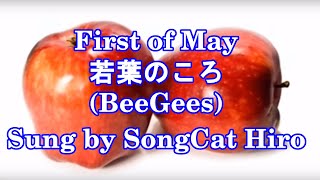 &quot;First of May&quot; (Bee Gees) sung by SongCat Hiro