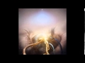 Follow The Crossed Line - The Agonist 
