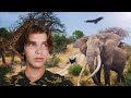 3 Day Survival With Africa S Deadliest Animals