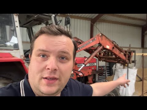 Regen, Getreide und Kälber sind eine Plage