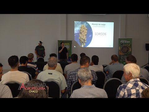 TALLER DE SORGO - NUFARM - GENERAL PINEDO - CHACO segunda parte.