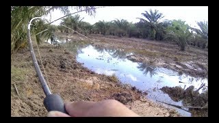 Casting Ikan Haruan (snakehead fishing) Guna Reel spinning Rod bc