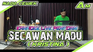 Download lagu Secawan madu - Kristina karaoke nada cewek Am mp3