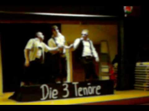 Fasching Senftenbach 2012 - Die3Tenöre_Fliegerlied.ASF