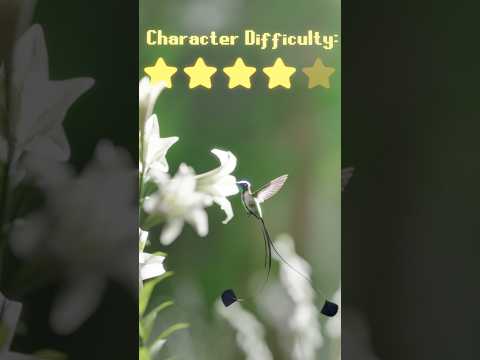 How to main Hummingbird