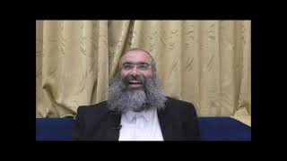 הרב נחמנסון - מהלכות בין המצרים, ועוד