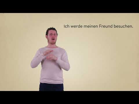 Gebärdengrips - Meine Sprache: Grammatik der DGS & Lautsprache