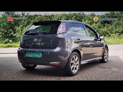 Fiat Punto 199 (2005-now) buying advice