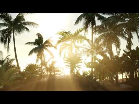 600 WAYS (OFFICIAL MUSIC VIDEO)