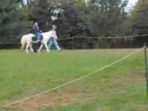 Freddy Hill Farm Fall Fest October, 2013 - Pony Ride