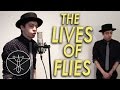 The Lives Of Flies Rusty Cage