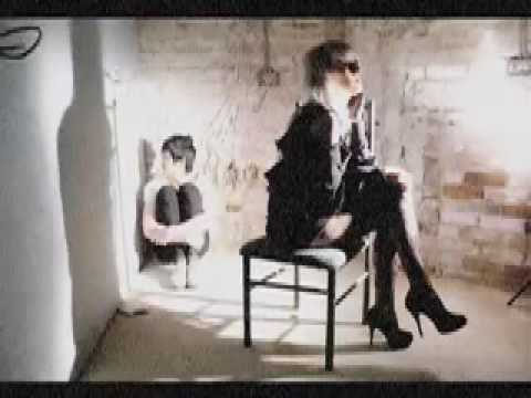 I Haunt Wizards - Vampire Aids