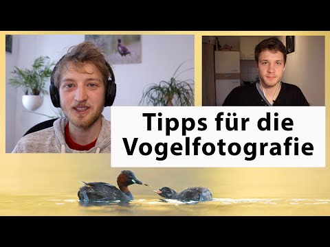 Tipps für die Vogelfotografie - mit Kalle (Ornithologie für Anfänger)