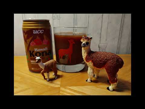 Alpacas adoram café UCC Ueshima Hawaii Kona