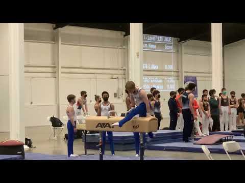 Pommel | 9.4 | Dad was late to hit record | Wu Guonian Classic