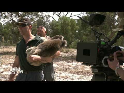 Volle Kanne - Traumschiff Perth