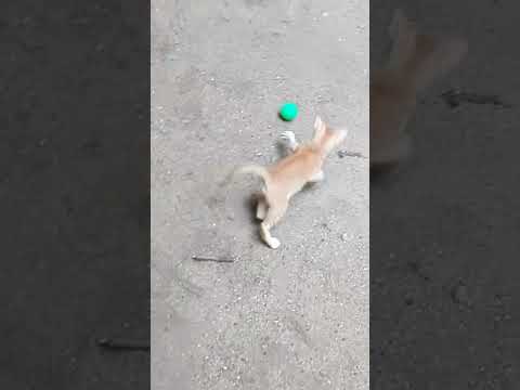 #shortsyoutube/#nature superstores/#joja/#sound pages/#channel pages/#Hashtag pages/#VFM/#ly reasat/