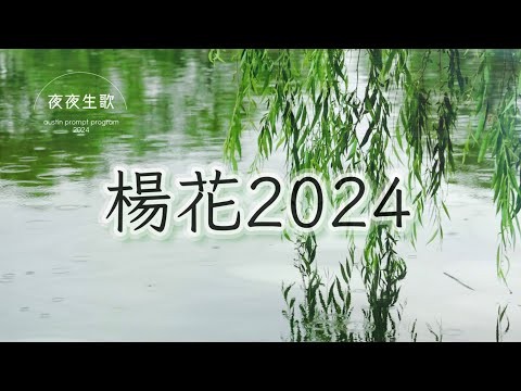 楊花2024
