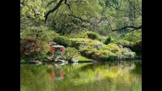 Feist ~ The Park ✿✿ (2007)