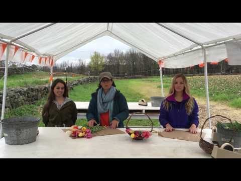 How to pick tulips